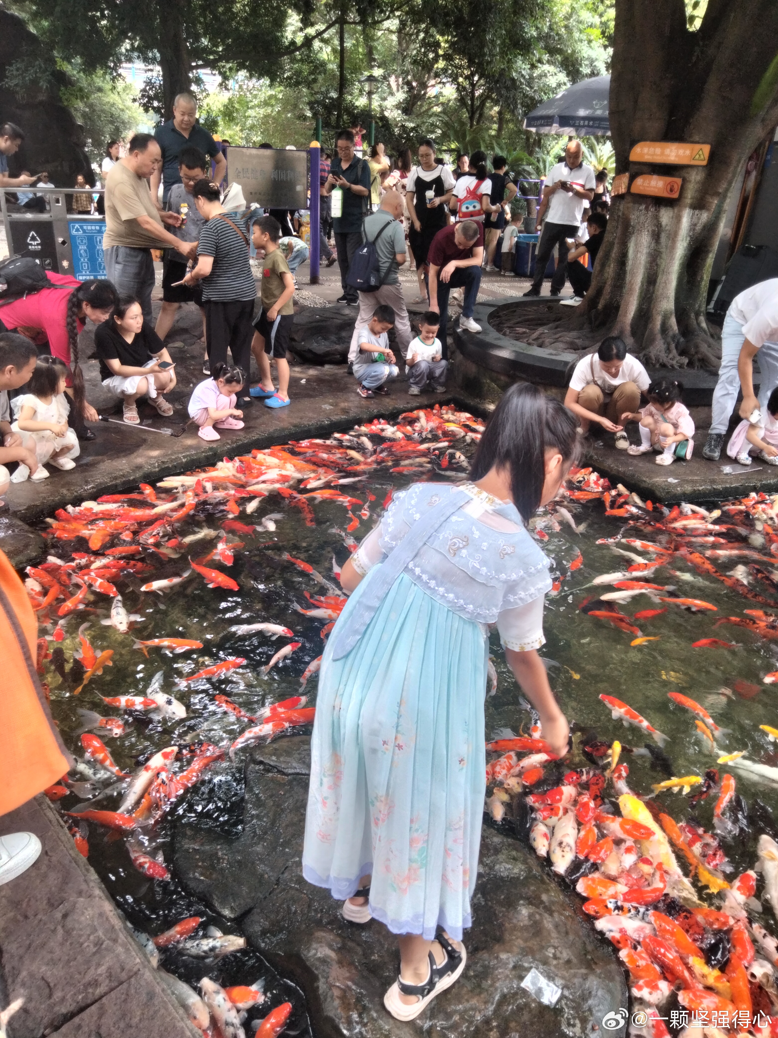 失落的旋律  _1